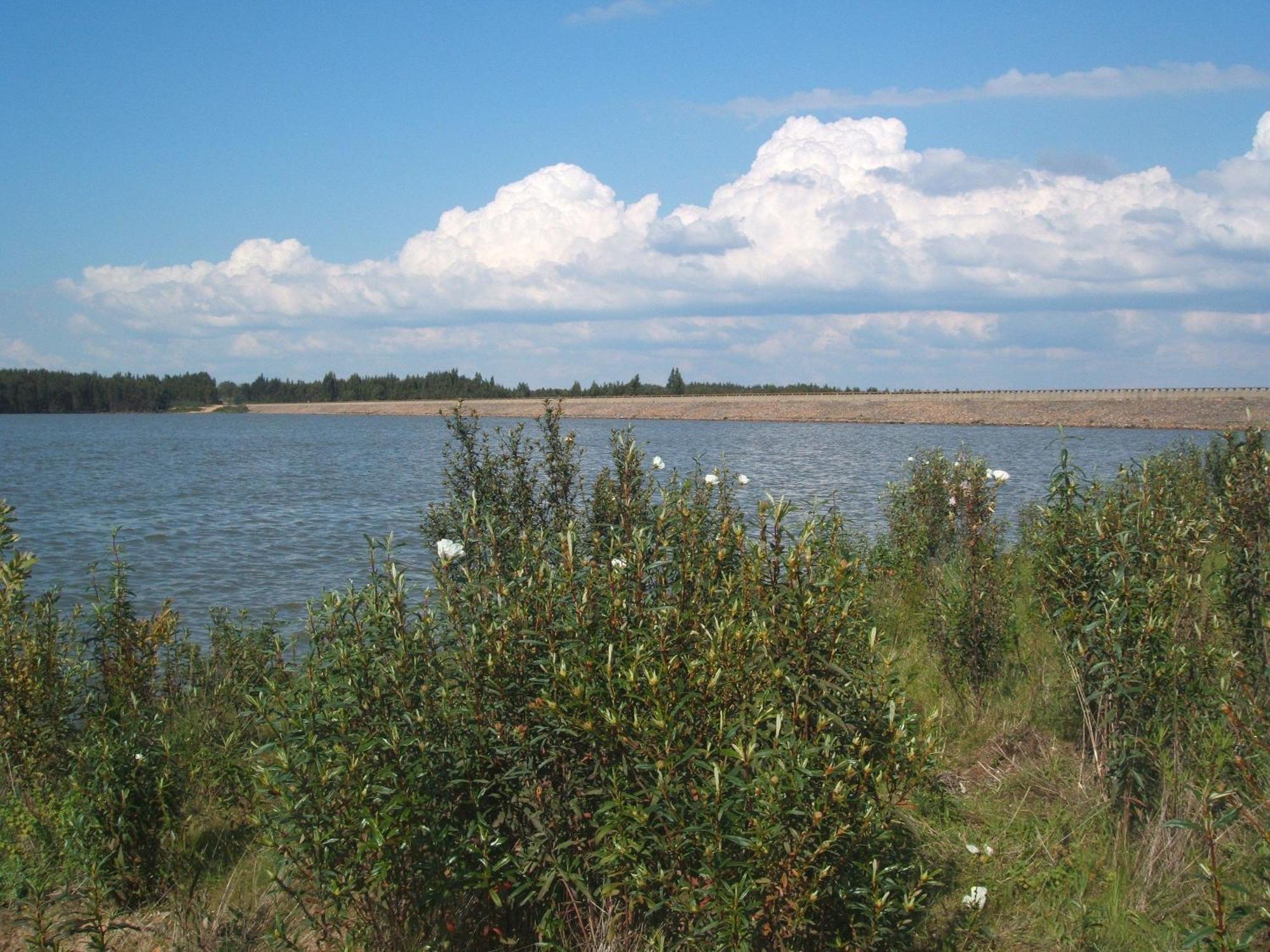 Verdemar Cercal do Alentejo Bagian luar foto