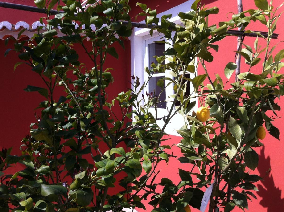 Verdemar Cercal do Alentejo Bagian luar foto